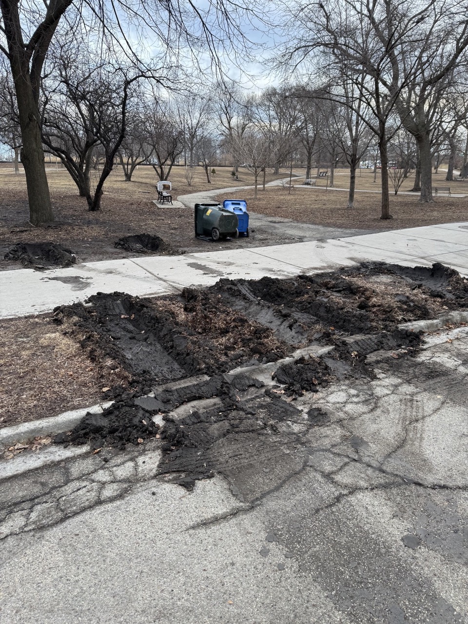 Park grounds in need of repair